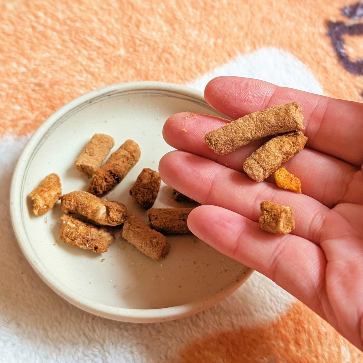 貓咪凍乾分享｜Frontier悅緻原凍評價｜小花挑嘴貓超愛的低敏原肉貓凍乾（鮮魚嫩羊）匠心打造每一口，貓咪都愛吃-AG吃貨
