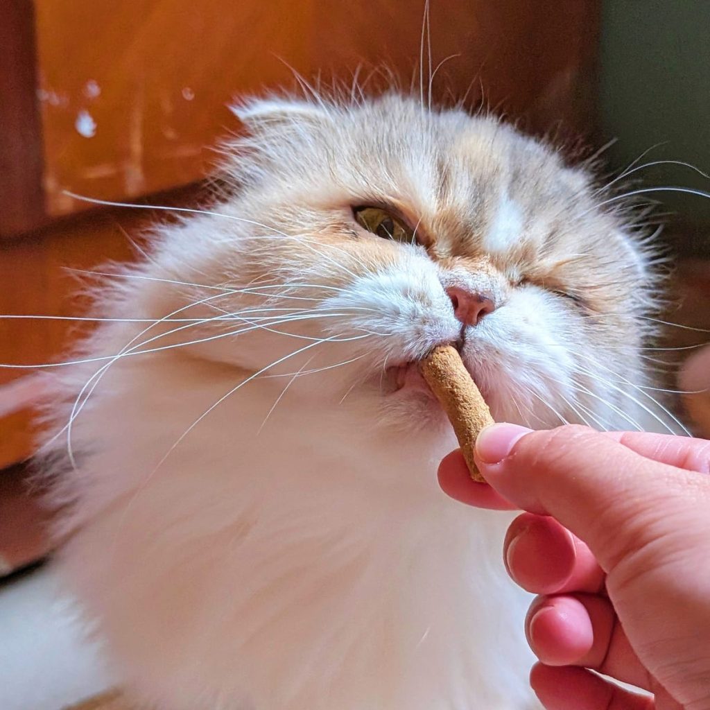對貓咪來說，這代表更貼近牠們原始的捕食營養比例── Frontier 的貓凍乾含有 95% 動物性成分，沒有穀物與人工添加物。 這不只是口號，而是真正回歸「純粹自然凍乾飲食」的實踐。