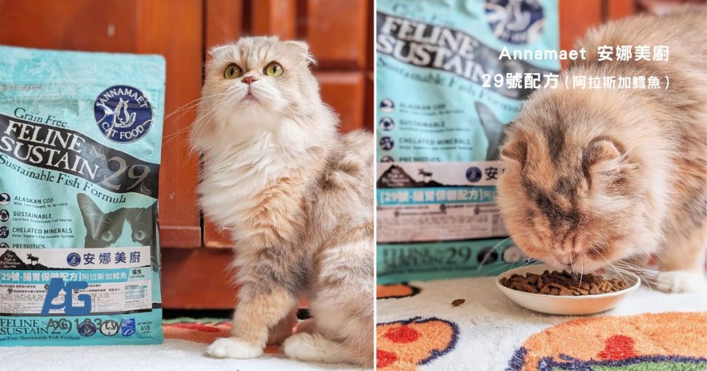 貓飼料開箱|挑嘴貓「小花」與 Annamaet安娜美廚 29號配方 天然無穀貓糧 體驗:極地鱈魚的驚喜魅力!AG吃貨