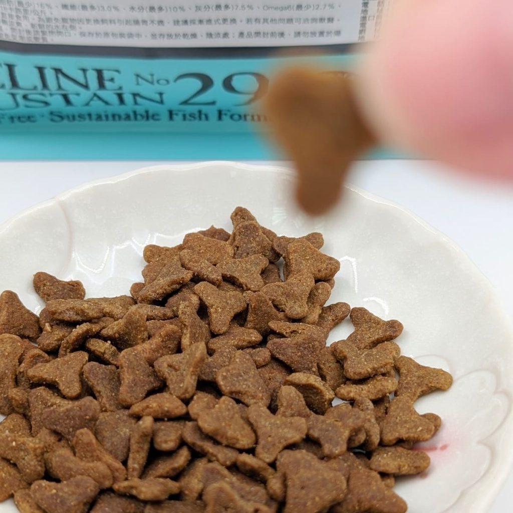 貓飼料開箱｜挑嘴貓「小花」與 Annamaet安娜美廚 29號配方 天然無穀貓糧 體驗：極地鱈魚的驚喜魅力！AG吃貨