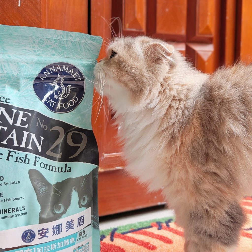 貓飼料開箱｜挑嘴貓「小花」與 Annamaet安娜美廚 29號配方 天然無穀貓糧 體驗：極地鱈魚的驚喜魅力！AG吃貨