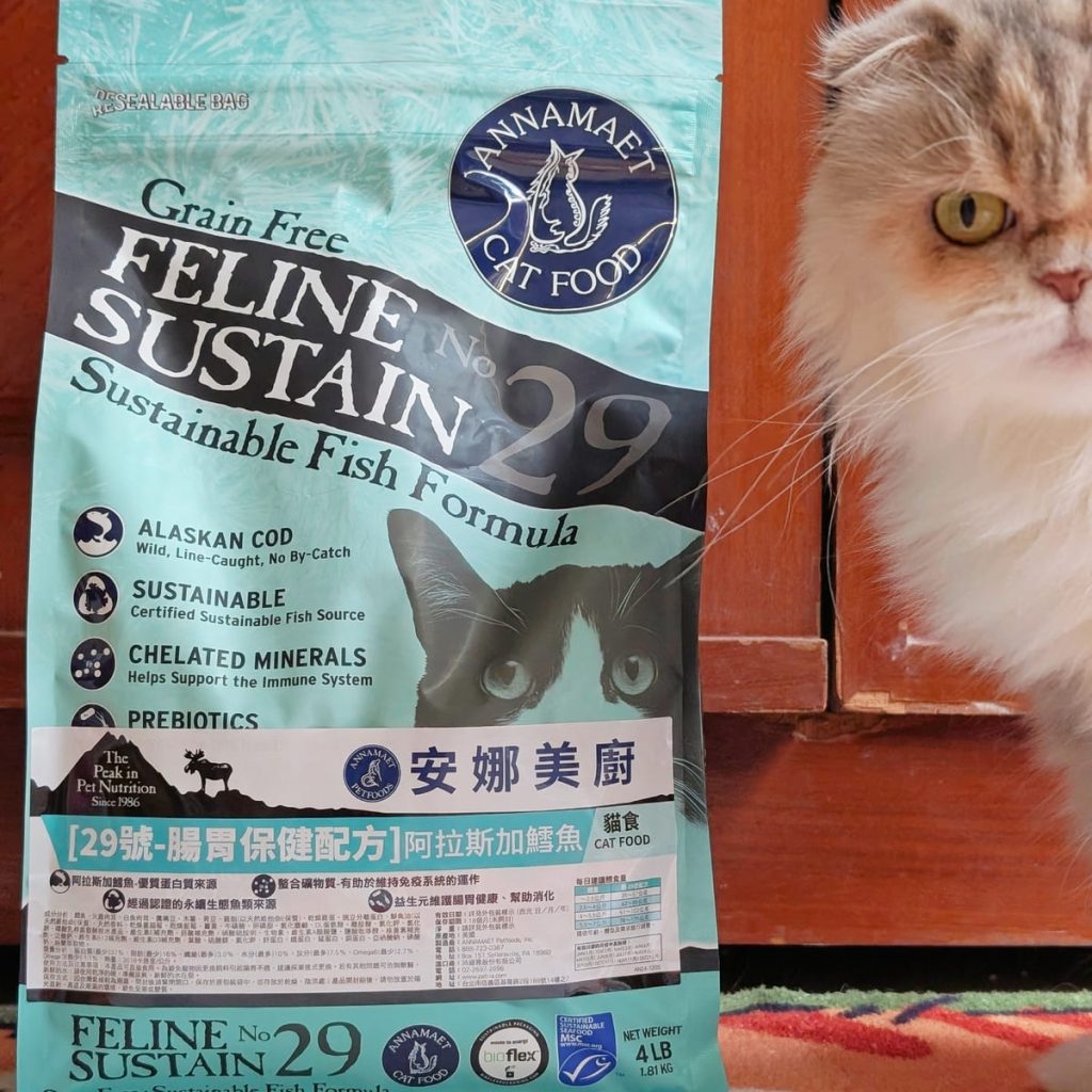 貓飼料開箱｜挑嘴貓「小花」與 Annamaet安娜美廚 29號配方 天然無穀貓糧 體驗：極地鱈魚的驚喜魅力！AG吃貨