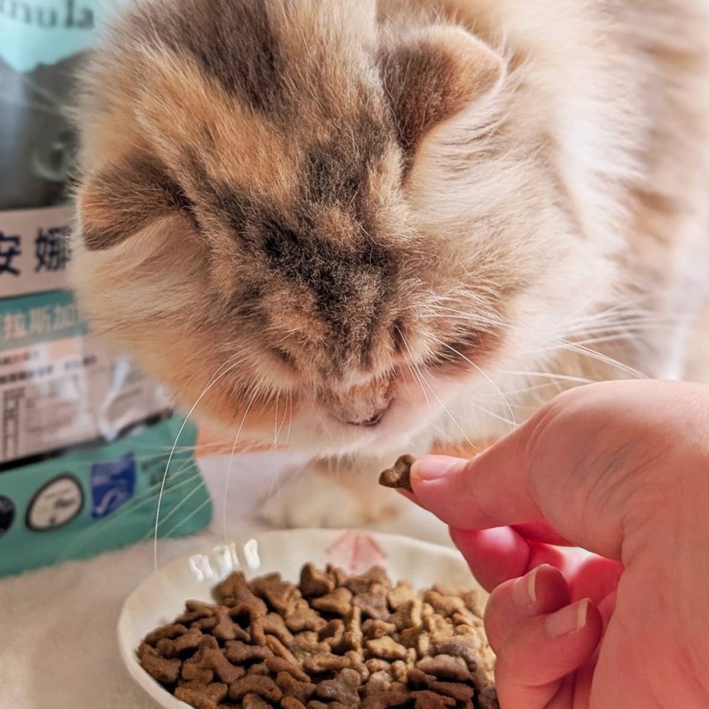 貓飼料開箱｜挑嘴貓「小花」與 Annamaet安娜美廚 29號配方 天然無穀貓糧 體驗：極地鱈魚的驚喜魅力！AG吃貨