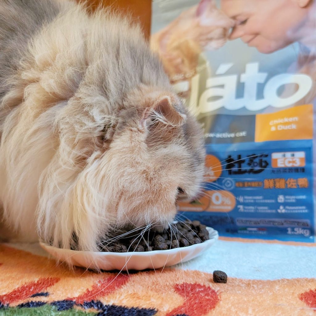 Elato杜莎評價｜挑嘴貓也無法抗拒，來自義大利的Elato杜莎天然無穀貓糧，征服貓咪的挑嘴味蕾-AG吃貨
