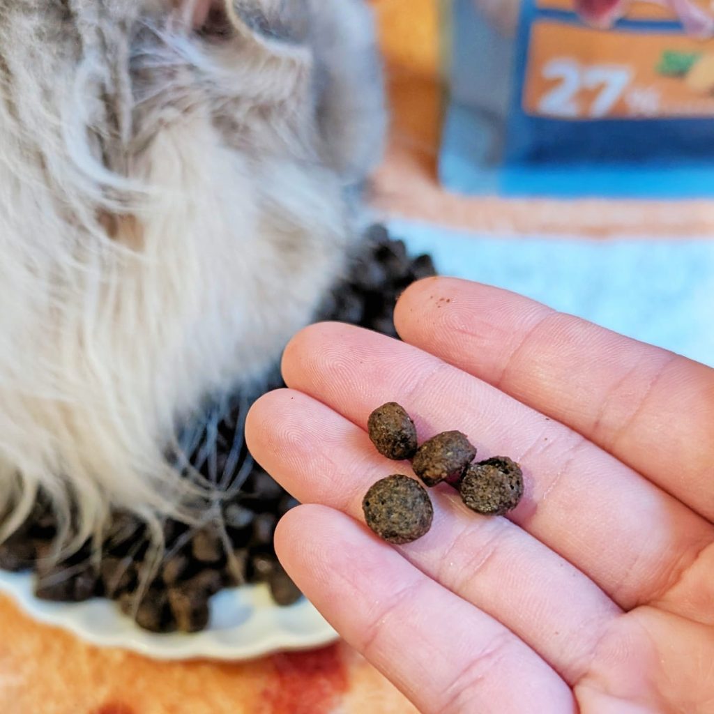 Elato杜莎評價｜挑嘴貓也無法抗拒，來自義大利的Elato杜莎天然無穀貓糧，征服貓咪的挑嘴味蕾-AG吃貨