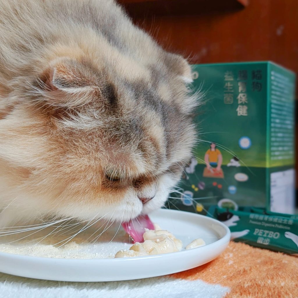 毛孩保健開箱:貓咪益生菌怎麼選?撇步PETBO寵物腸胃保健益生菌,挑嘴貓小花的腸胃大冒險:一場從便便開始的幸福革命-AG吃貨