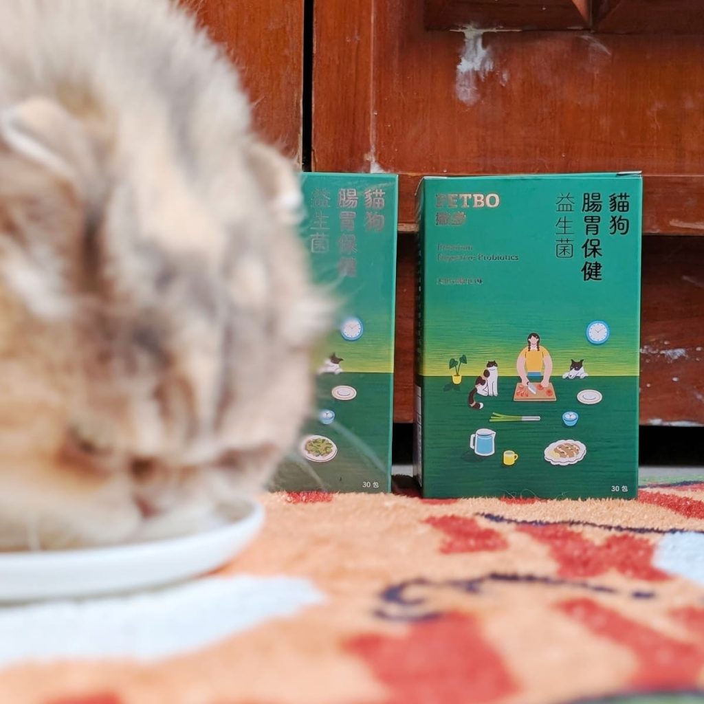 毛孩保健開箱:貓咪益生菌怎麼選?撇步PETBO寵物腸胃保健益生菌,挑嘴貓小花的腸胃大冒險:一場從便便開始的幸福革命-AG吃貨