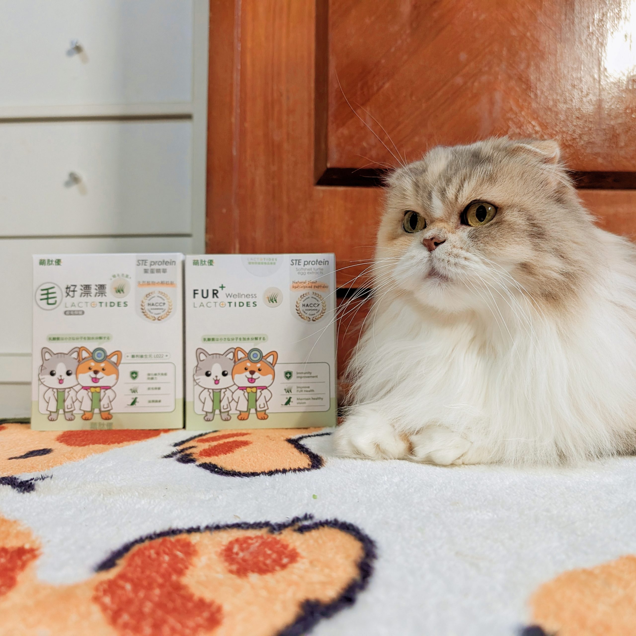 貓咪保健｜貓狗毛髮營養品分享：萌肽優LactoTides寵物皮膚保健食品《毛好漂漂》體驗開箱！AG吃貨