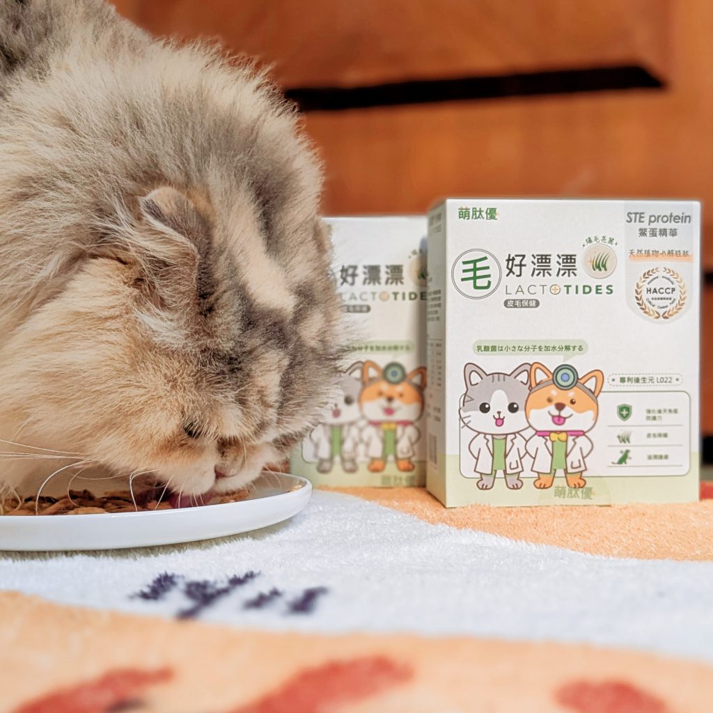 貓咪保健｜貓狗毛髮營養品分享：萌肽優LactoTides寵物皮膚保健食品《毛好漂漂》體驗開箱！AG吃貨