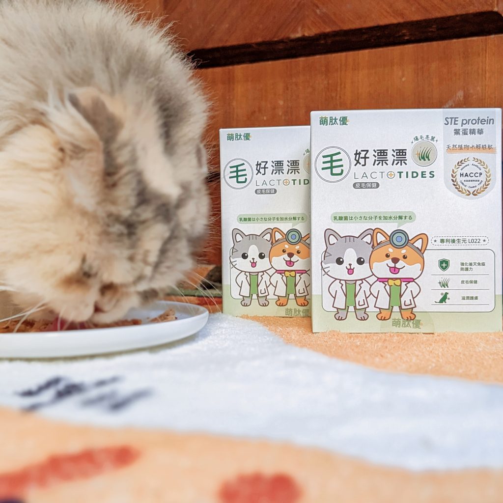 貓咪保健｜貓狗毛髮營養品分享：萌肽優LactoTides寵物皮膚保健食品《毛好漂漂》體驗開箱！AG吃貨