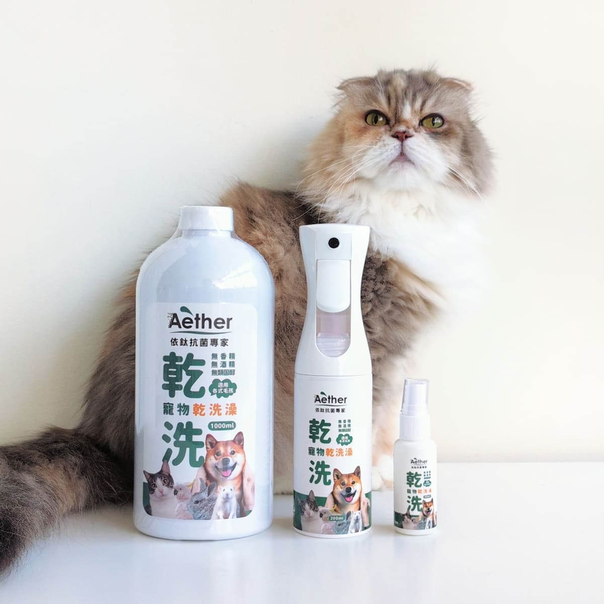 Aether依鈦抗菌專家-寵物抗菌除臭噴霧｜貓咪怕洗澡怎麼辦？12歲長毛貓實測｜寵物乾洗澡推薦真實心得-AG吃貨