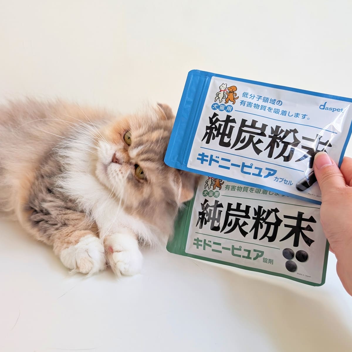 nekohako評價開箱｜挑食貓乖乖吃｜日本Daspet Kidney Pure犬貓腎臟保健碳粉評價分享