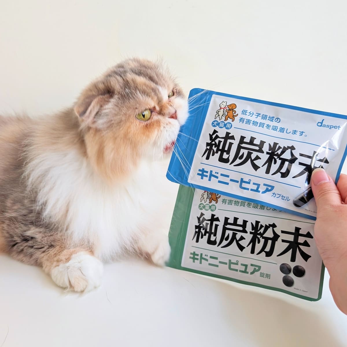 nekohako評價開箱｜挑食貓乖乖吃｜日本Daspet Kidney Pure犬貓腎臟保健碳粉評價分享