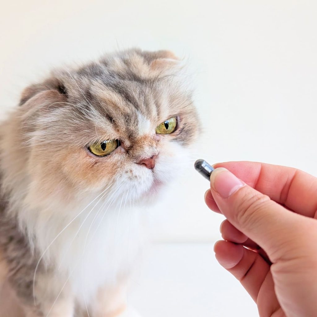 nekohako評價開箱｜挑食貓乖乖吃｜日本Daspet Kidney Pure犬貓腎臟保健碳粉評價分享-AG吃貨
