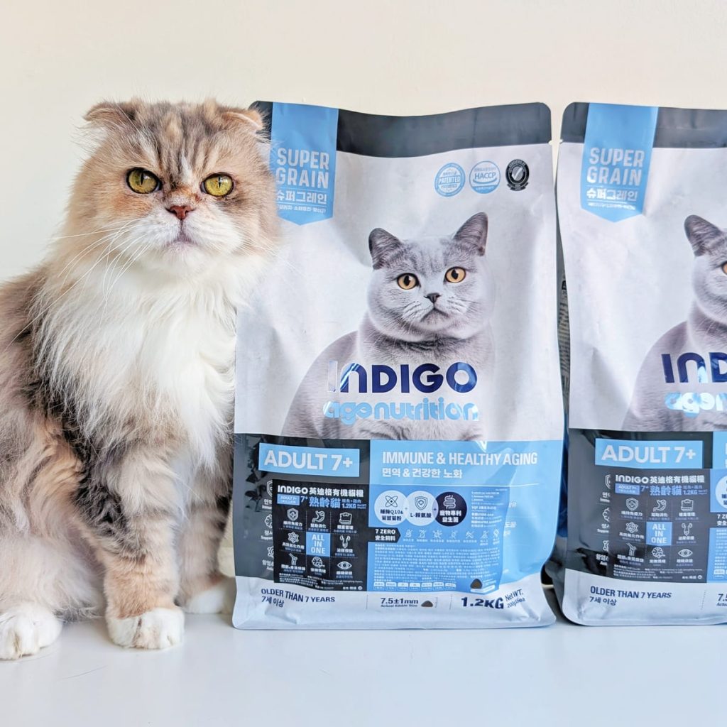 熟齡貓飼料開箱｜挑嘴13歲摺耳貓也願意主動吃！INDIGO英迪格有機貓糧7+開箱分享｜英迪格貓飼料評價-AG吃貨