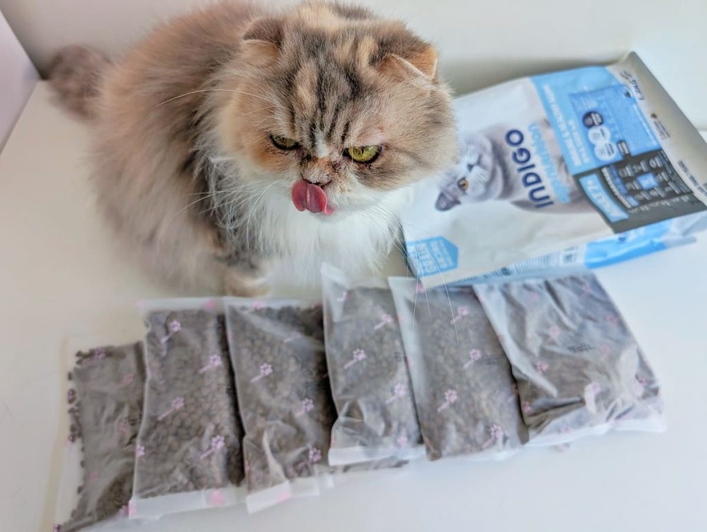 熟齡貓飼料開箱｜挑嘴13歲摺耳貓也願意主動吃！INDIGO英迪格有機貓糧7+開箱分享｜英迪格貓飼料評價-AG吃貨