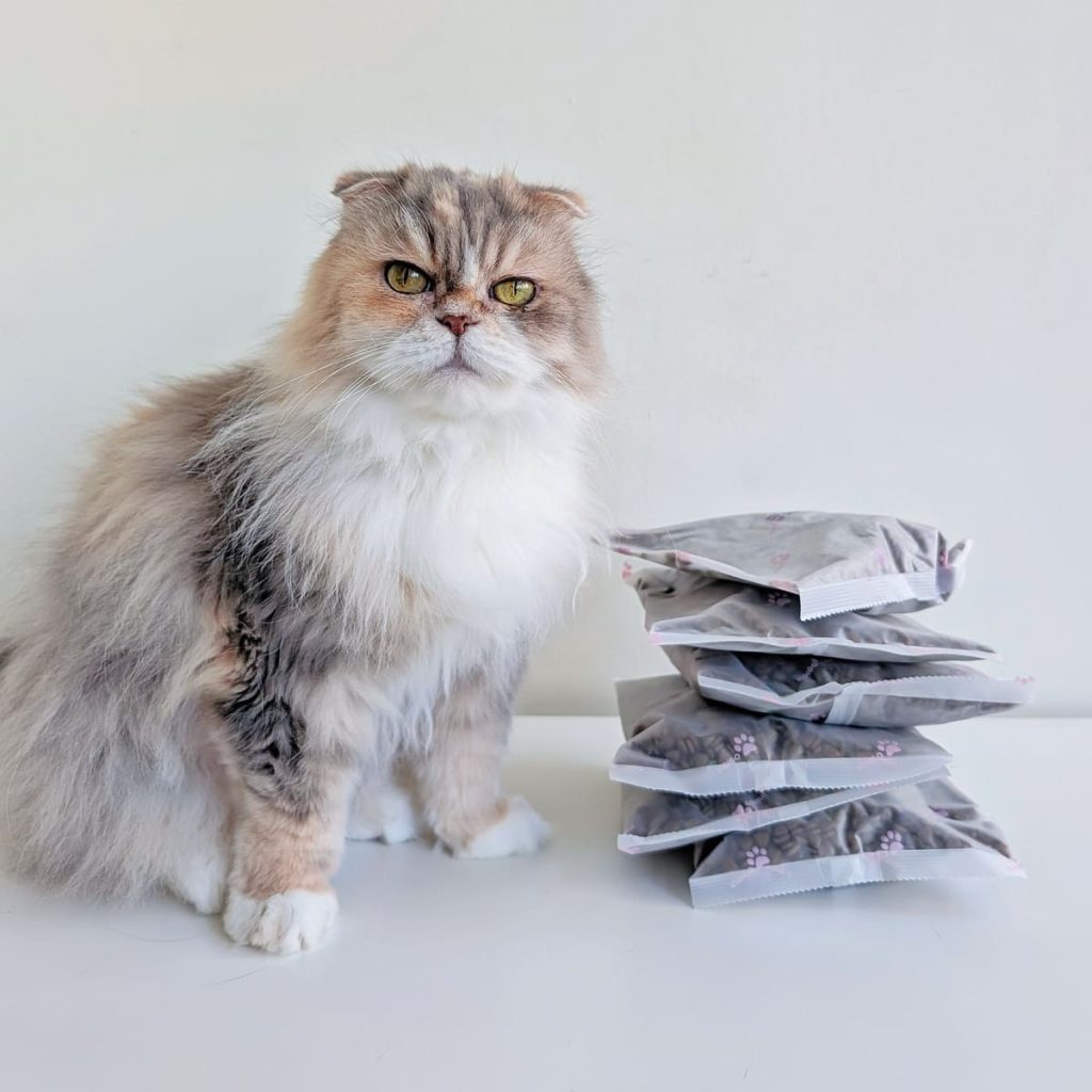 熟齡貓飼料開箱｜挑嘴13歲摺耳貓也願意主動吃！INDIGO英迪格有機貓糧7+開箱分享｜英迪格貓飼料評價-AG吃貨