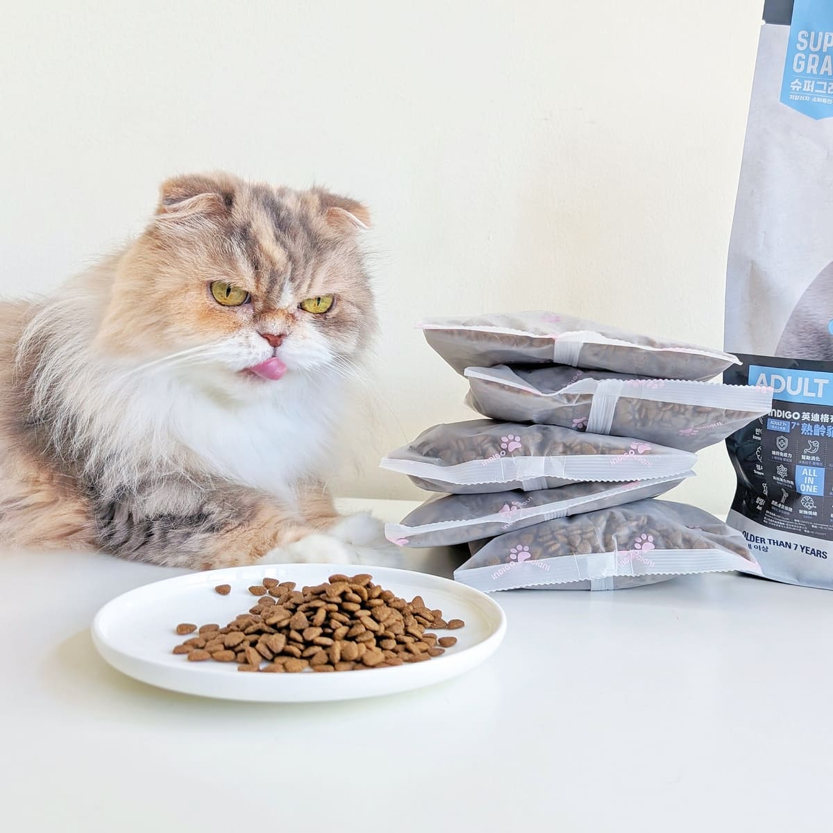 熟齡貓飼料開箱｜挑嘴13歲摺耳貓也願意主動吃！INDIGO英迪格有機貓糧7+開箱分享｜英迪格貓飼料評價-AG吃貨