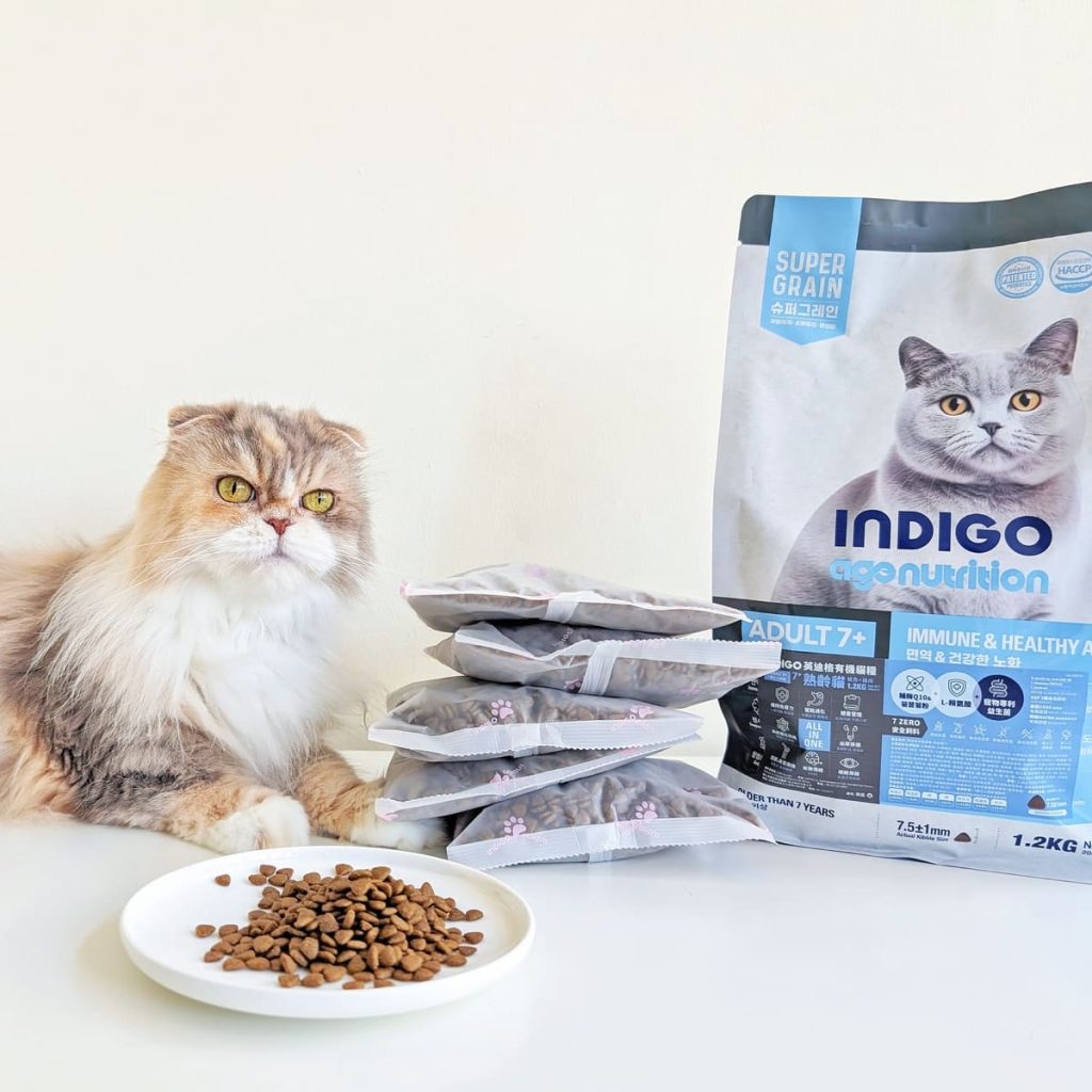 熟齡貓飼料開箱｜挑嘴13歲摺耳貓也願意主動吃！INDIGO英迪格有機貓糧7+開箱分享｜英迪格貓飼料評價-AG吃貨