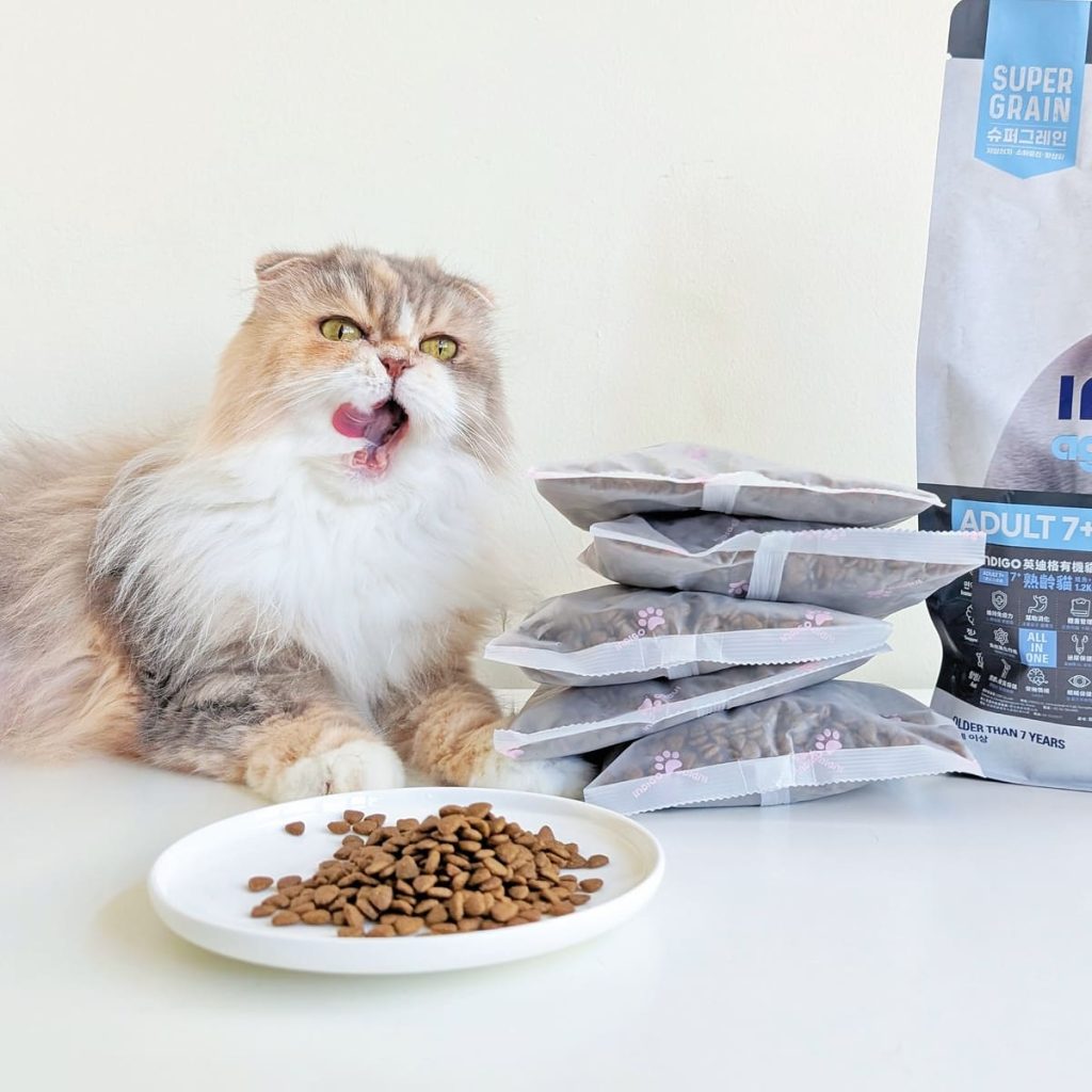 熟齡貓飼料開箱｜挑嘴13歲摺耳貓也願意主動吃！INDIGO英迪格有機貓糧7+開箱分享｜英迪格貓飼料評價-AG吃貨