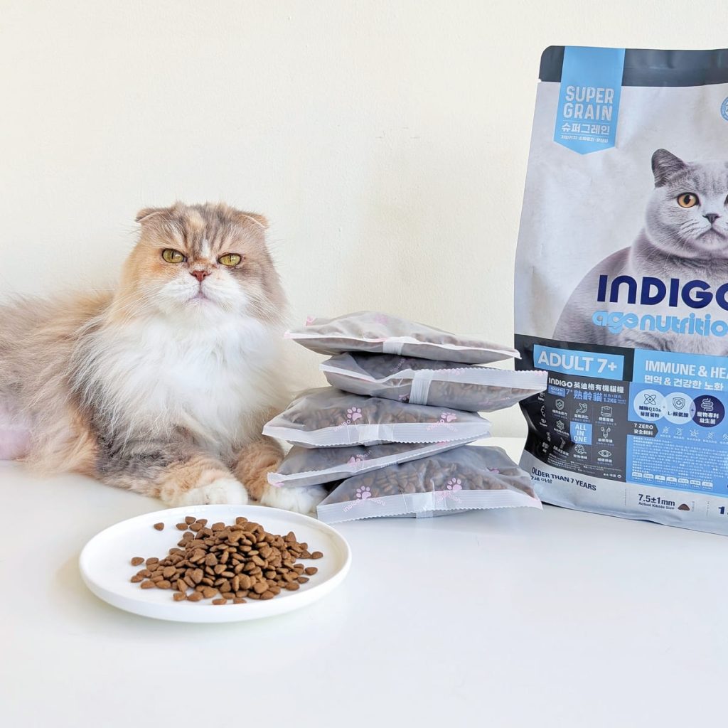 熟齡貓飼料開箱｜挑嘴13歲摺耳貓也願意主動吃！INDIGO英迪格有機貓糧7+開箱分享｜英迪格貓飼料評價-AG吃貨