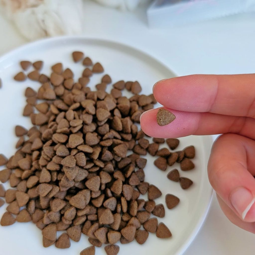 熟齡貓飼料開箱｜挑嘴13歲摺耳貓也願意主動吃！INDIGO英迪格有機貓糧7+開箱分享｜英迪格貓飼料評價-AG吃貨