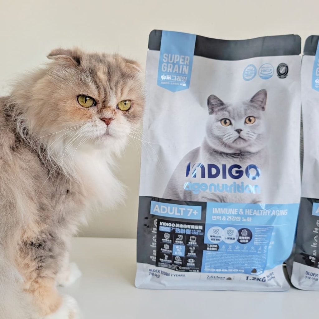 熟齡貓飼料開箱｜挑嘴13歲摺耳貓也願意主動吃！INDIGO英迪格有機貓糧7+開箱分享｜英迪格貓飼料評價-AG吃貨