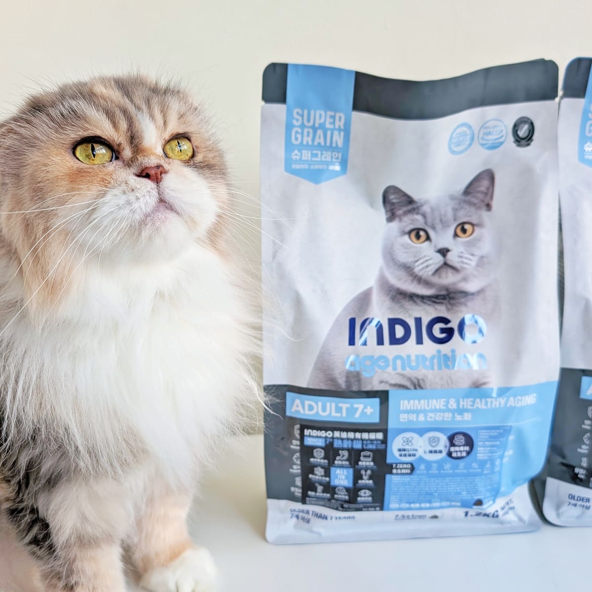 熟齡貓飼料開箱｜挑嘴13歲摺耳貓也願意主動吃！INDIGO英迪格有機貓糧7+開箱分享｜英迪格貓飼料評價-AG吃貨