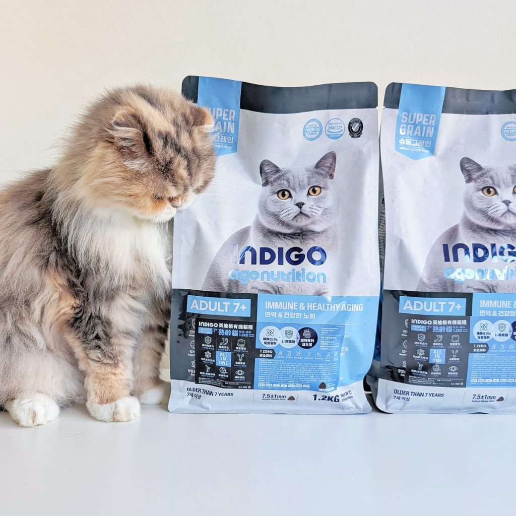 熟齡貓飼料開箱｜挑嘴13歲摺耳貓也願意主動吃！INDIGO英迪格有機貓糧7+開箱分享｜英迪格貓飼料評價-AG吃貨