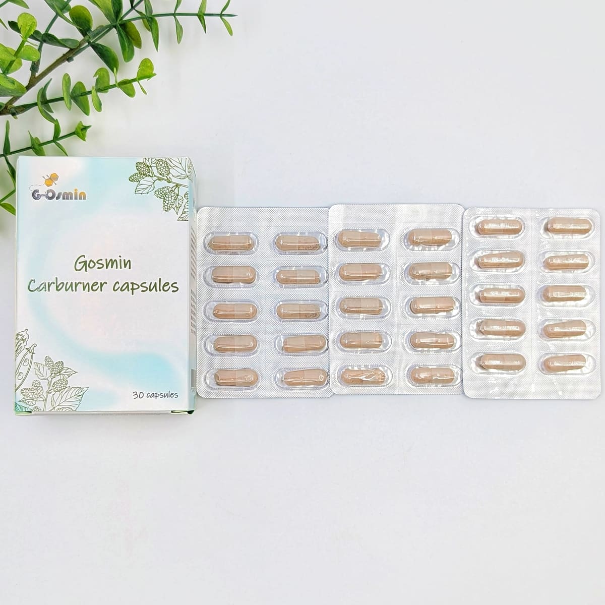 植雨生技Carburner膠囊開箱｜夏天體態管理好物，找回消失的曲線｜忙碌上班外食族的餐前補給分享-AG吃貨